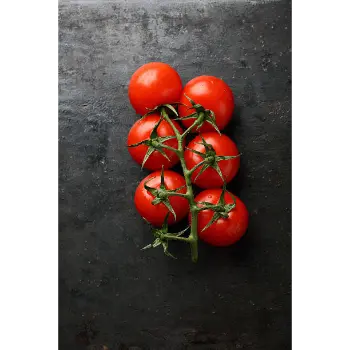 Tomato (6)-3401462-52835.webp